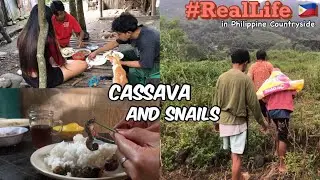 🇵🇭 HIW FILIPINA LIVES IN PHILIPPINE COUNTRYSIDE, CASSAVA AND SNAILS, BUKID LIFE