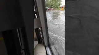 19 августа 2024 г.