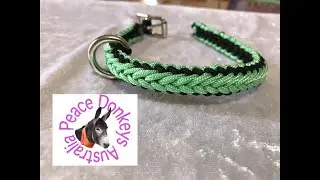 How to make a small dog collar with micro paracord - fully adjustable (herringbone pattern).