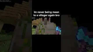 I Hate Minecraft Villagers...