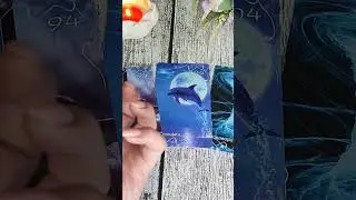КАРТА ДНЯ 02/02 #таросегодня