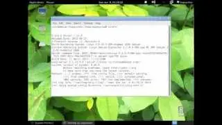 login as root instantly Debian 7