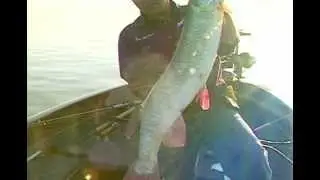 North American Fishing Club: Pike and Muskie Tactics Part 5