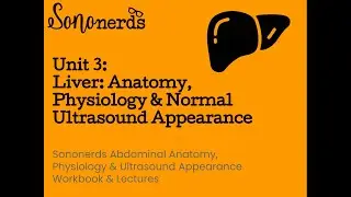 Liver: Anatomy, Physiology & Normal Ultrasound :: Unit 3 :: Abdominal Ultrasound with Sononerds