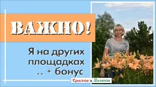 Где меня еще найти + приятный бонус