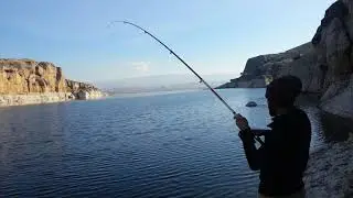 Aynalı sazan avı