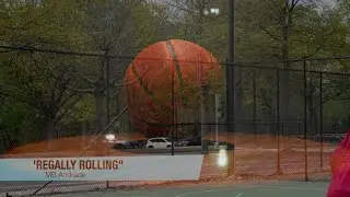 Regally Rolling - Balance & Agility on the Court