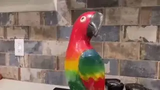The Best of Pelpy the Narcissistic Parrot | Gregory Gillton the Blue Shark