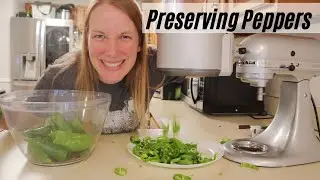 Preserving Peppers - Let's hang out in the kitchen