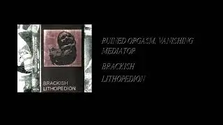 Brackish - Lithopedion [Full Cassette Rip]
