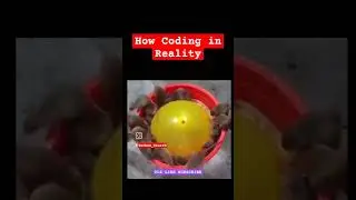 How Coding in Reality 