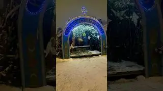 Дочь Юрия Хоя, Ирина Клинских. 30 часть….