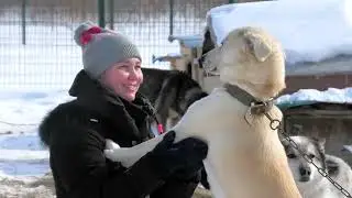 #Приют 