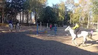 Shana préparation concours hunter novembre 22