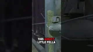 The DEADLIEST trap in DayZ! #shorts