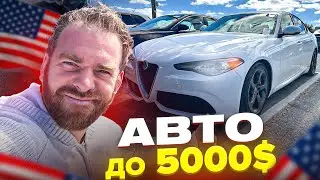 Auto Auction up to $5000 in the USA
