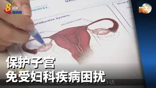 晨光第一线 | 保护子宫 免受妇科疾病困扰