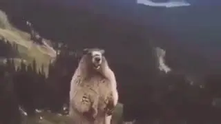 Karantinada 7. Günüm