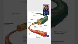 Ключи счастья     Часть 2
