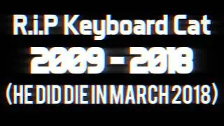 Rip Keyboard Cat