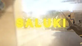 SALUKI☀️