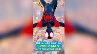 Did you catch this in SPIDER-MAN: INTO THE SPIDER-VERSE