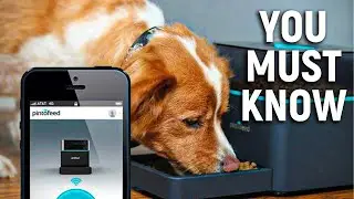 COOLEST PET GADGETS AND HACKS EVERY PET OWNER MUST HAVE