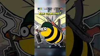 🐝Пчёлка Тостер робот в кс2 #csgo #кс2приколы #кс2 #мем