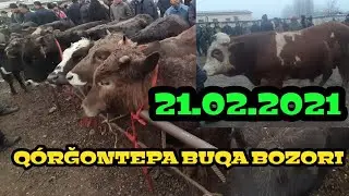 #мол