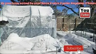 My green house survived the snow?#snow #nature #garden #vegetables #flowers