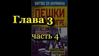 Мирослава Бердник. Пешки в чужой игре. Глава 3, часть 4