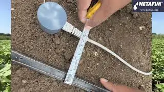 Cotton Research Project 