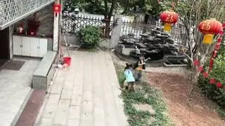 topu hazuva düşen çocuğu tehlikeden koruyan köpek, sonu muhteşem