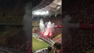 Peluza Catalin Haldan FCSB-Dinamo 2018