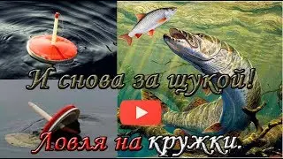 Ловля на кружки. И снова за щукой! Часть 1.  Pike fishing.