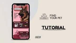 Equipo 08 FIND YOUR PET   HACKATHON PR PA