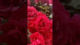 #полезные
