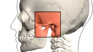 How to planing TMJ