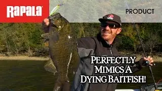 The Rapala® Shadow Rap®