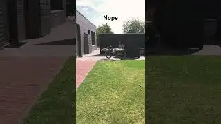 Nope #rabbit #animals #bunny #funny #meme #memes #animal #cute #drone #dji