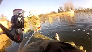 Sarance na Twistera - C&R
