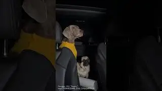 ИНСТАСАМКА ЧУТЬ НЕ РАЗБИЛА СЕРДЦЕ ОСКАРУ И ДЖОНИ 💔