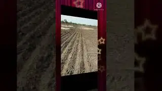 #sort - F1 hybrid bhindi 1st step..