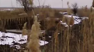 ст. Старощербиновская  река Ея 18.02.2017