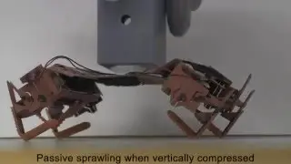 Cockroach-inspired robot with locomotion by body-friction legged crawling