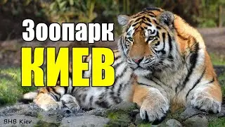 UPDATED KIEV ZOO 2020. FULL OVERVIEW. Renovated zoo: how the Kyiv zoo has changed