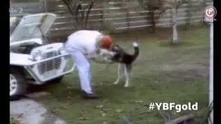 You've Been Framed! Gold: A-Z of Animals (March 22, 2014) (Part 4/4)