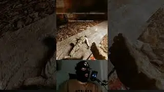 Нашел пропавший отряд GAMMA 0.9.3.1 