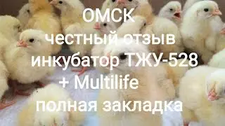 Отзыв клиента. ТЖУ-528 + Multilife. Полная закладка.