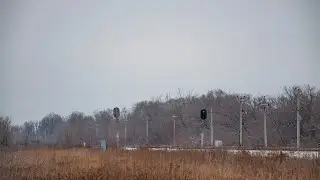 Ташкентский ход в конце декабря.  Новогодний сборник.